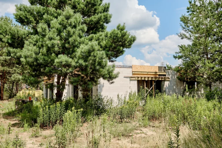 25b8b63e677e19b163c455db48612-10